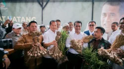 AIPTU Setiyo Prayitno Tinjau Langsung Perkembangan Bawang Putih di Tlogosari