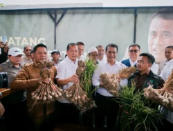 AIPTU Setiyo Prayitno Tinjau Langsung Perkembangan Bawang Putih di Tlogosari