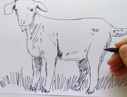 Api Karhutla Argosari Lumajang Dikit Dipadamkan, Terjang B-29