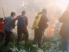 Api Landa Lereng Bromo Argosari, Sulit Ditangkap Petugas