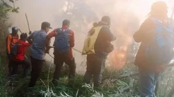 Api Landa Lereng Bromo Argosari, Sulit Ditangkap Petugas
