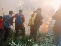 Api Landa Lereng Bromo Argosari, Sulit Ditangkap Petugas