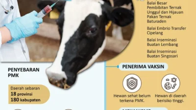 DKP3 Pasuruan Vaksinasi PMK pada Ternak di Desa Wonosari, Cegah Wabah Menular