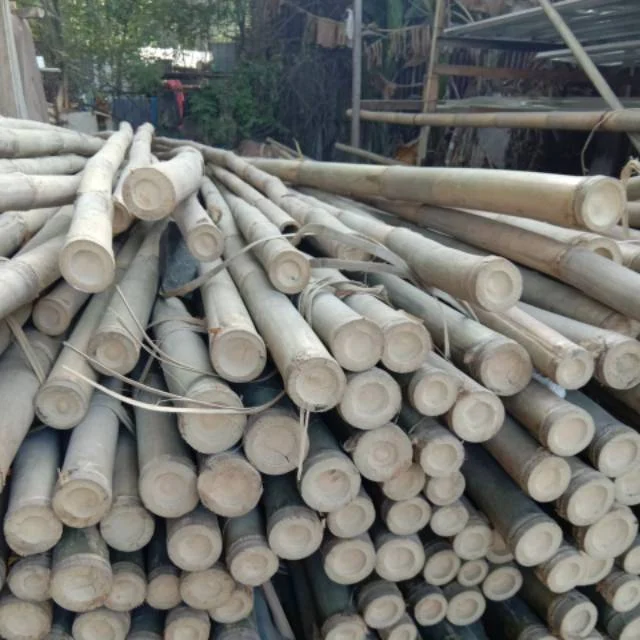 DPRD Pasuruan Bahas Lima Raperda Non-APBD, Atur Desa hingga BUMD