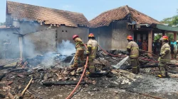 Dua Sapi Mati di Kandang Kebakaran Probolinggo