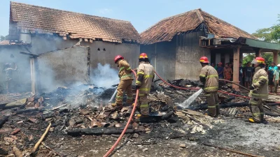 Dua Sapi Mati di Kandang Kebakaran Probolinggo