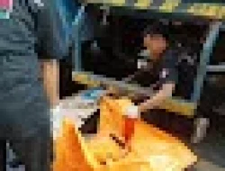 Dua Tewas di Gatot Subroto Pasuruan, Tabrakan Motor-Truk Trailer