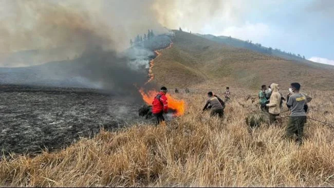 Duka Karhutla Bromo: Korban Meninggal Akibat Kebakaran Bromo Bertambah Kini jadi 5 Orang