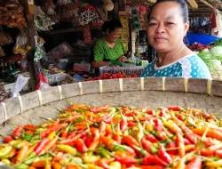 Guncang Jatim! Harga Cabai Rawit Lumajang Tembus Rp75 Ribu