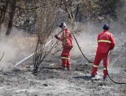 Petugas TNBTS Sisir Sisa Bara di Lereng Curam Argosari
