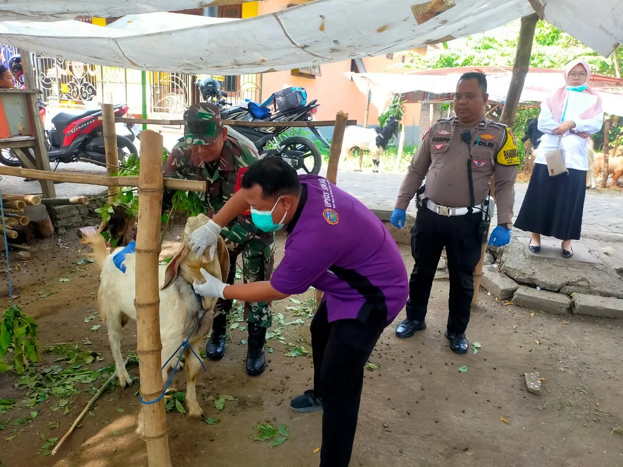 Investigasi DKP3 Pasuruan Kasus Kesehatan Hewan di Desa Gading, Fokus Deteksi Dini