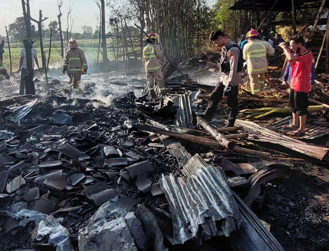 Kebakaran Bantaran Probolinggo: Rumah dan Kandang Terbakar, 2 Sapi Terpanggang