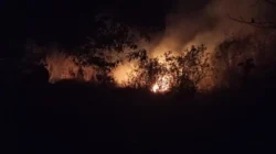 Kebakaran Bromo Meluas ke Malang, 4 Pintu Wisata Ditutup