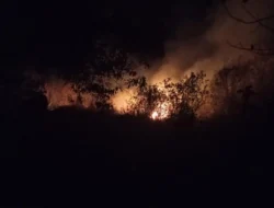 Kebakaran Bromo Meluas ke Malang, 4 Pintu Wisata Ditutup