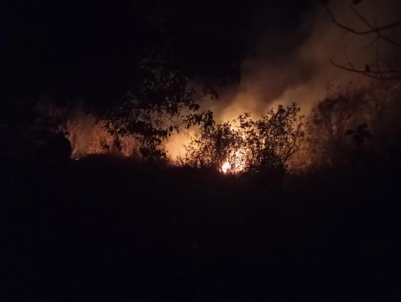Kebakaran Bromo Meluas ke Malang, 4 Pintu Wisata Ditutup