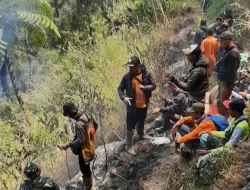 Kebakaran Hutan Perbatasan Lumajang-Probolinggo, Terhambat Medan