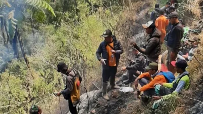 Kebakaran Hutan Perbatasan Lumajang-Probolinggo, Terhambat Medan