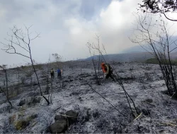 Kebakaran Kembali Landa Kawasan Gunung Arjuno, Pemadaman Terkendala Medan