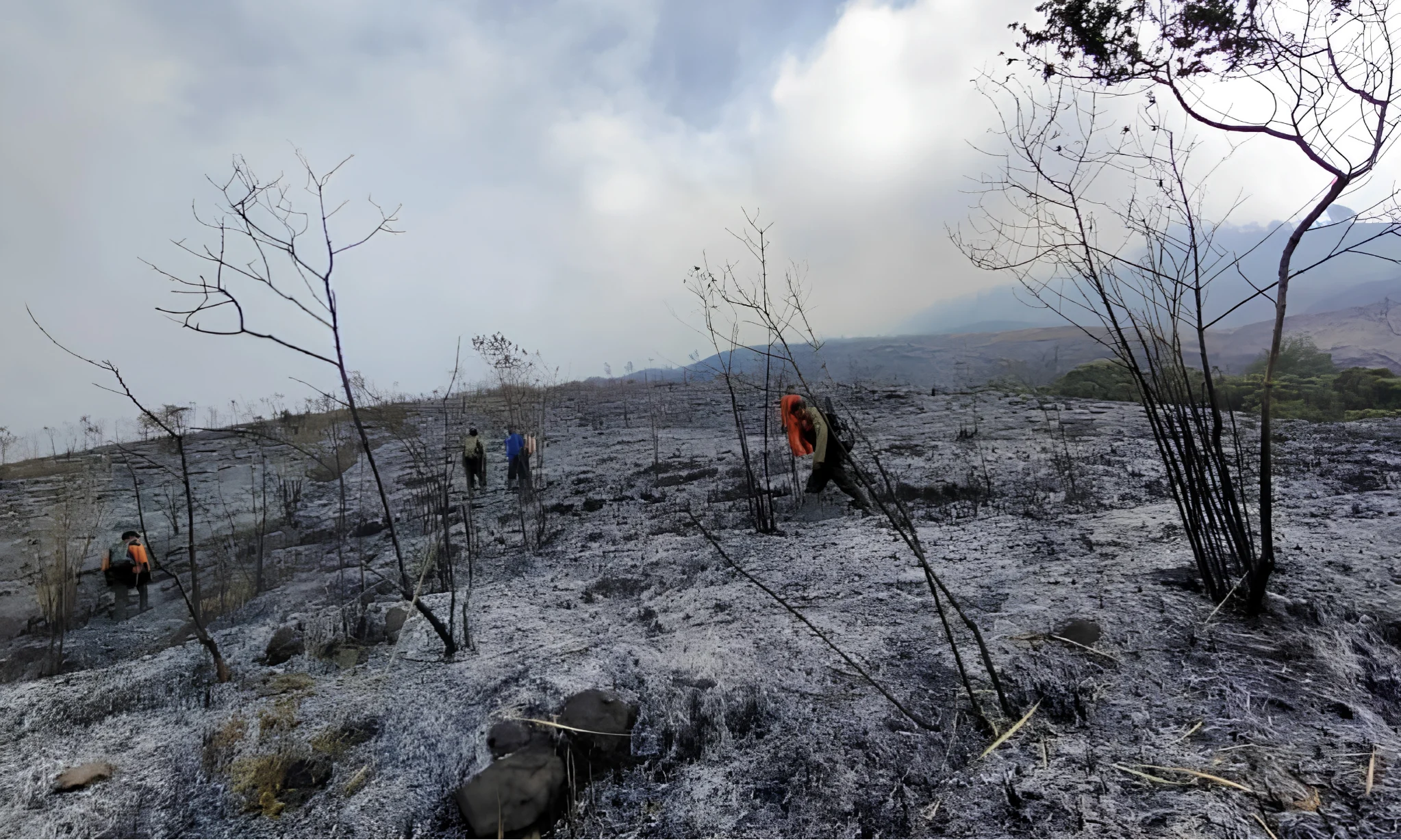 Kebakaran Kembali Landa Kawasan Gunung Arjuno, Pemadaman Terkendala Medan