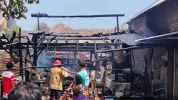 Kebakaran Tumpukan Kotoran Sapi di Probolinggo, Dapur dan Kandang Sapi di Karanganyar Probolinggo Terbakar Kerugian Puluhan Juta