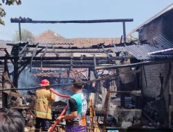 Kebakaran Tumpukan Kotoran Sapi di Probolinggo, Dapur dan Kandang Sapi di Karanganyar Probolinggo Terbakar Kerugian Puluhan Juta