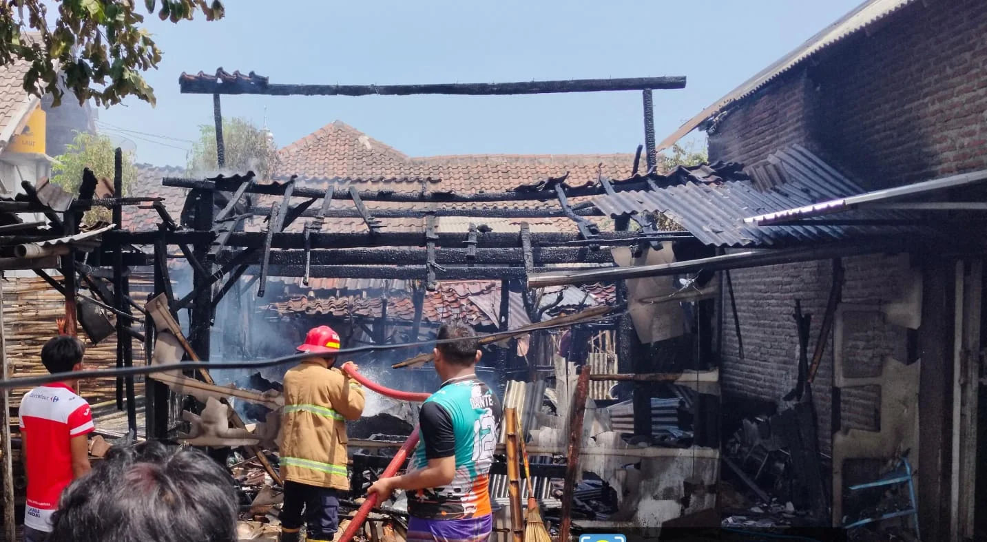 Kebakaran Tumpukan Kotoran Sapi di Probolinggo, Dapur dan Kandang Sapi di Karanganyar Probolinggo Terbakar Kerugian Puluhan Juta