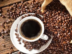 Kopi & Mimpi Mahasiswa Jember di #Cari_Aman MPM Honda