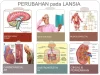 Lansia Bantaran Ditemukan Tewas di Kebun Tebu Leces
