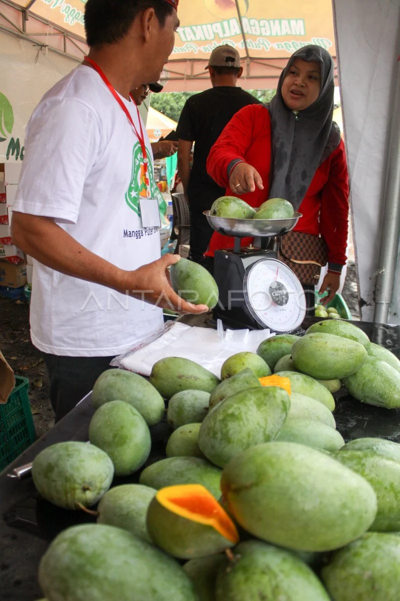 Mangga Alpukat Wonokerto Ludes di Hari Pertama TEI 2026, Istri Menteri Koperasi Ikut Mencicipi