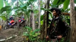 Motor Trail Hilang Tersembunyi di Daun Pisang, Ternyata…