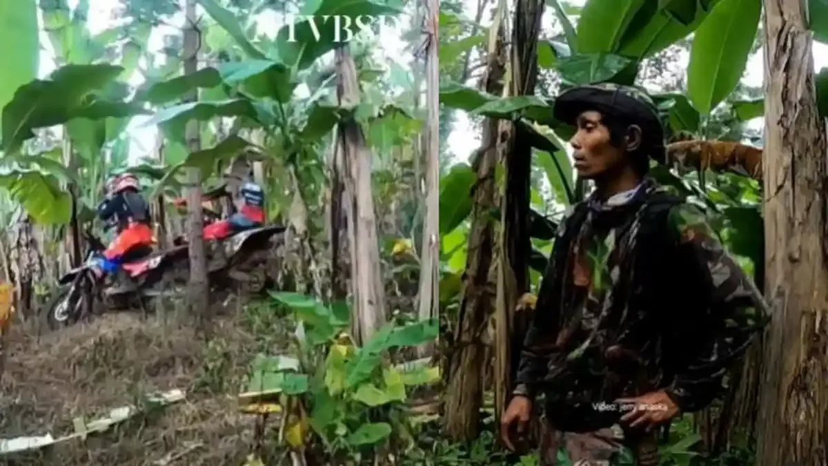 Motor Trail Hilang Tersembunyi di Daun Pisang, Ternyata...