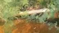 Pipa Aneh di Bantaran Sungai Kepulungan Dipercaya Saluran Limbah