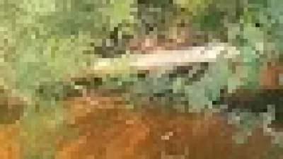 Pipa Aneh di Bantaran Sungai Kepulungan Dipercaya Saluran Limbah