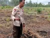 Polisi, Kebun Mumbul Gencar Bersihkan Lahan 60 Ha di Jember