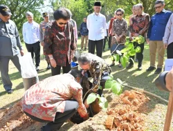 Prabowo Ulang Tahun ke-75, Gerindra Lumajang Tanam 500 Pohon