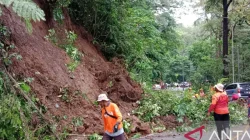 Retak 30 Meter di Gunung Gumitir, BPBD Siaga Longsor