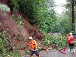 Retak 30 Meter di Gunung Gumitir, BPBD Siaga Longsor