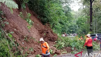 Retak 30 Meter di Gunung Gumitir, BPBD Siaga Longsor