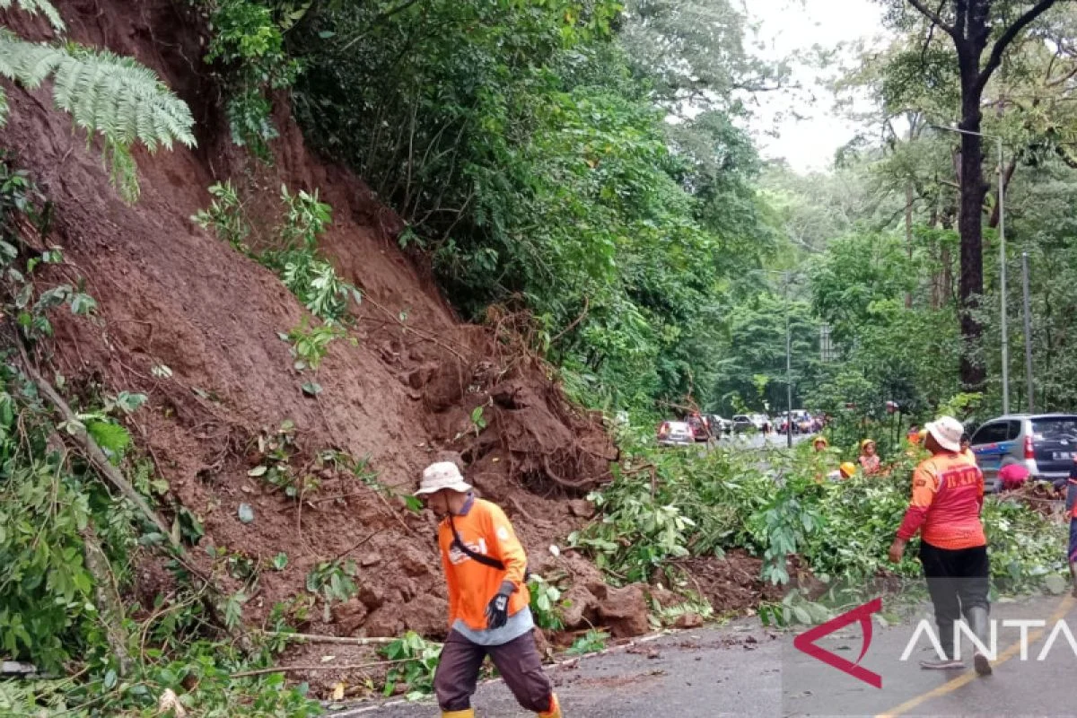 Retak 30 Meter di Gunung Gumitir, BPBD Siaga Longsor