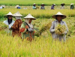 Risdiyan Tri Wahyudi: Pendidikan dan Kemandirian Petani